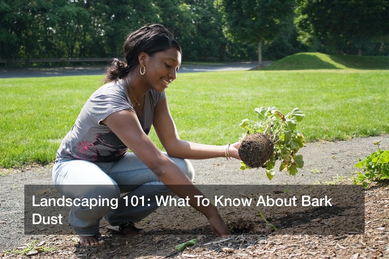 Landscaping 101: What To Know About Bark Dust - DIY Home Decor Ideas