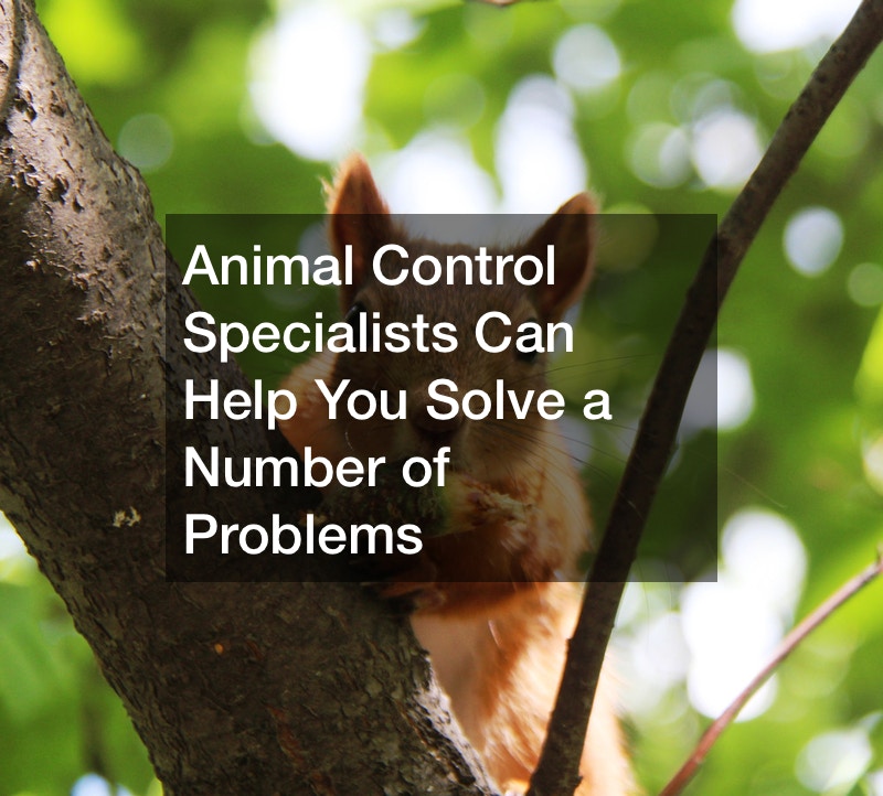 Animal Control Specialists Can Help You Solve a Number of Problems