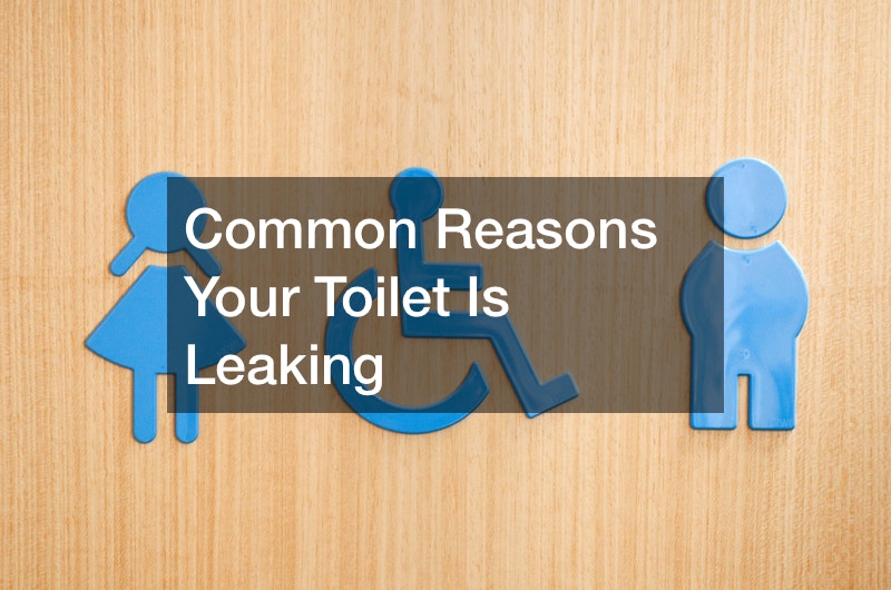 Common Reasons Your Toilet Is Leaking