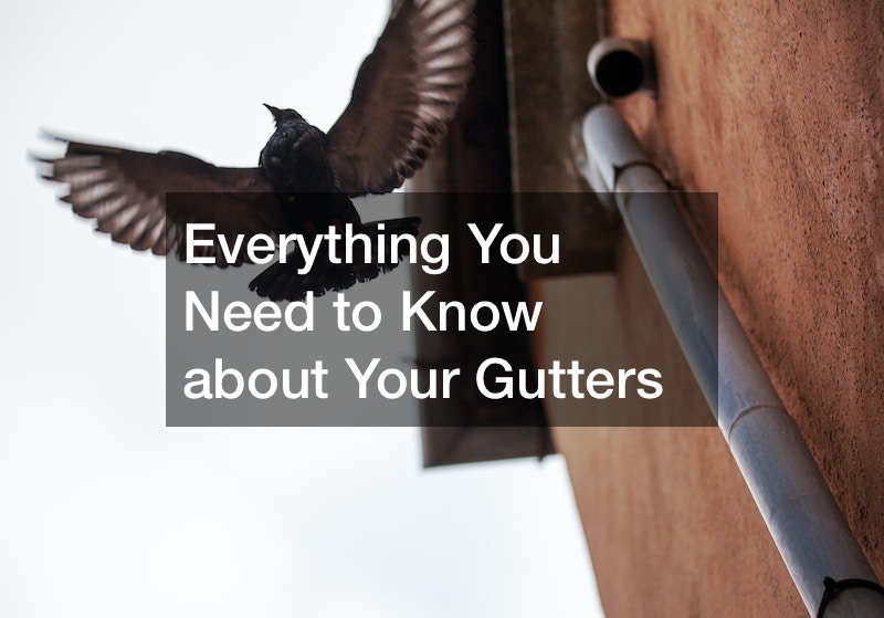 Everything You Need to Know about Your Gutters