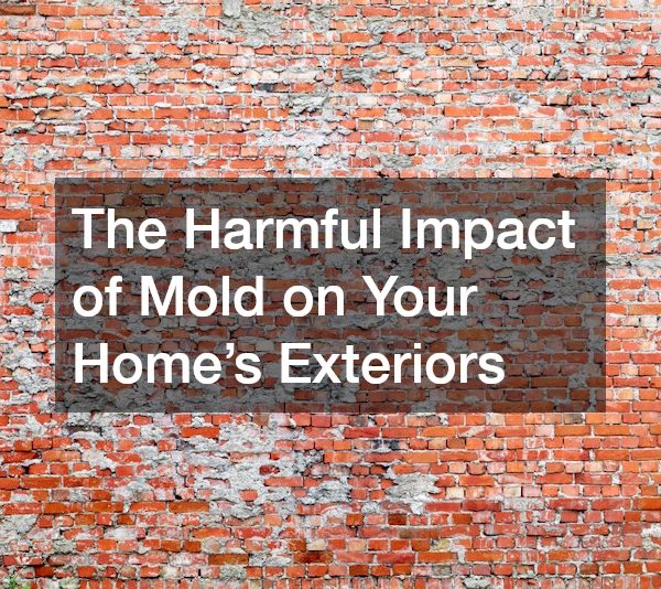 The Harmful Impact of Mold on Your Home’s Exteriors