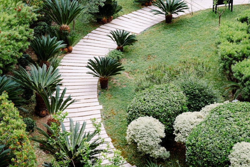 landscaping and hardscaping